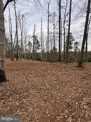 a view of mountain view with large trees