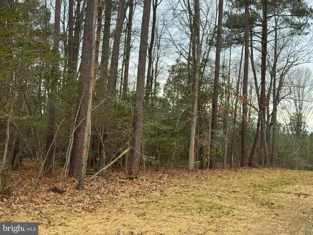 a view of wooden fence