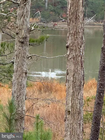 a view of outdoor space and trees