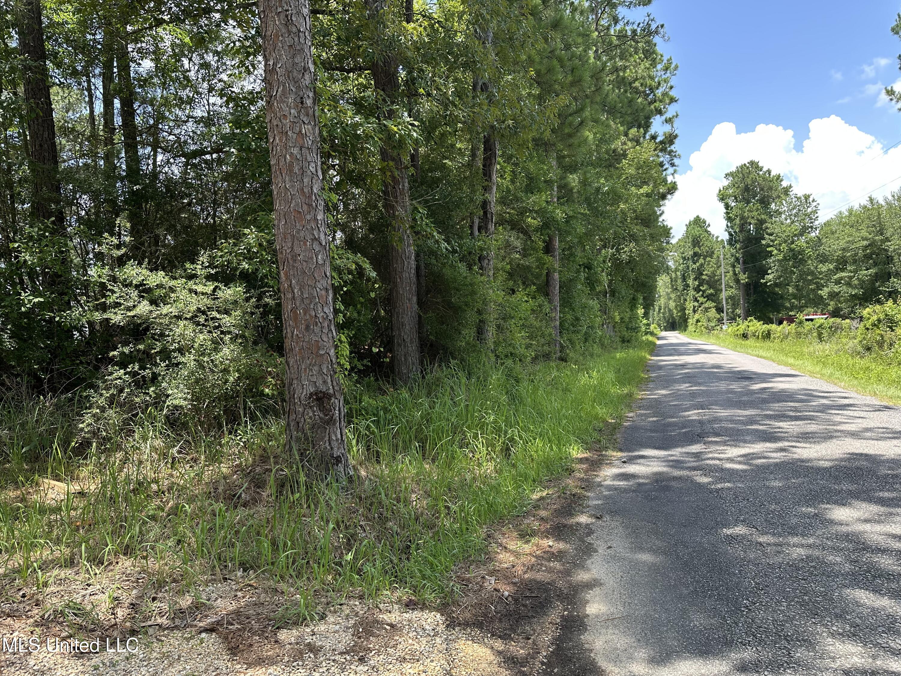 113 Glover Road Poplarville, MS 39470 - Photo 11 of 21 IMG_2186