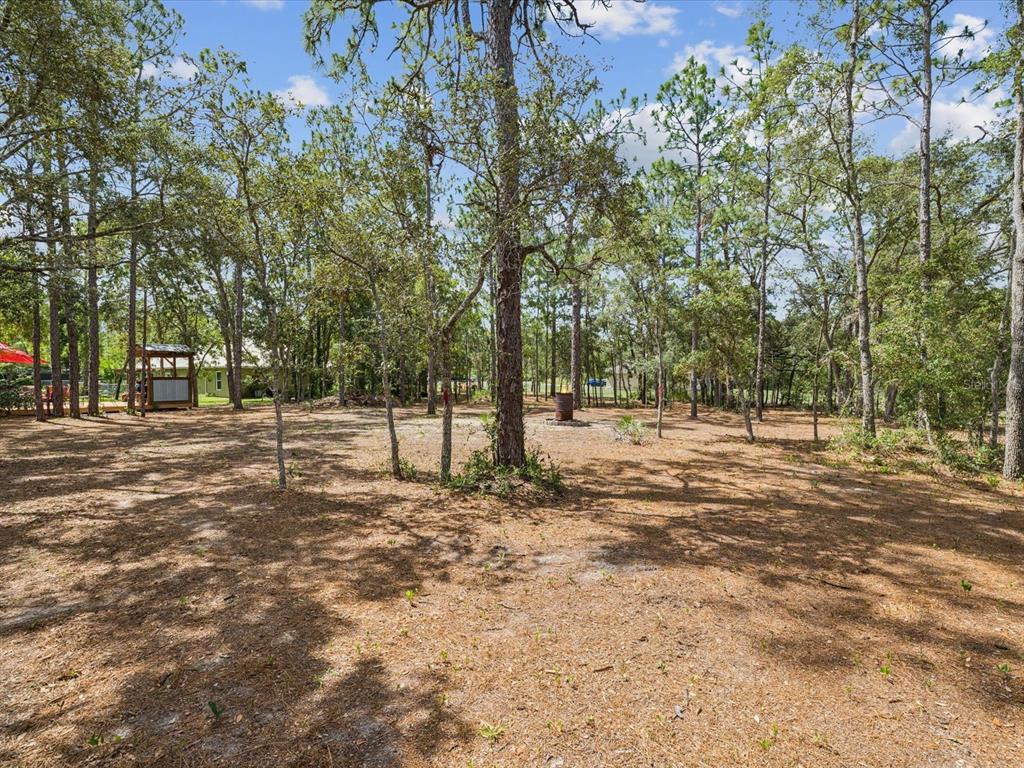 12229 Barnevelde Road Weeki Wachee, FL 34614 - Photo 44 of 63