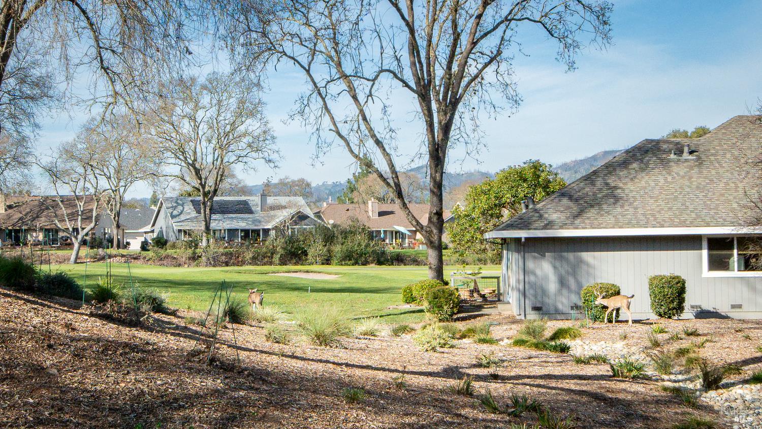 8151 Oakmont Drive Santa Rosa, CA 95409 - Photo 45 of 67 Deck views...