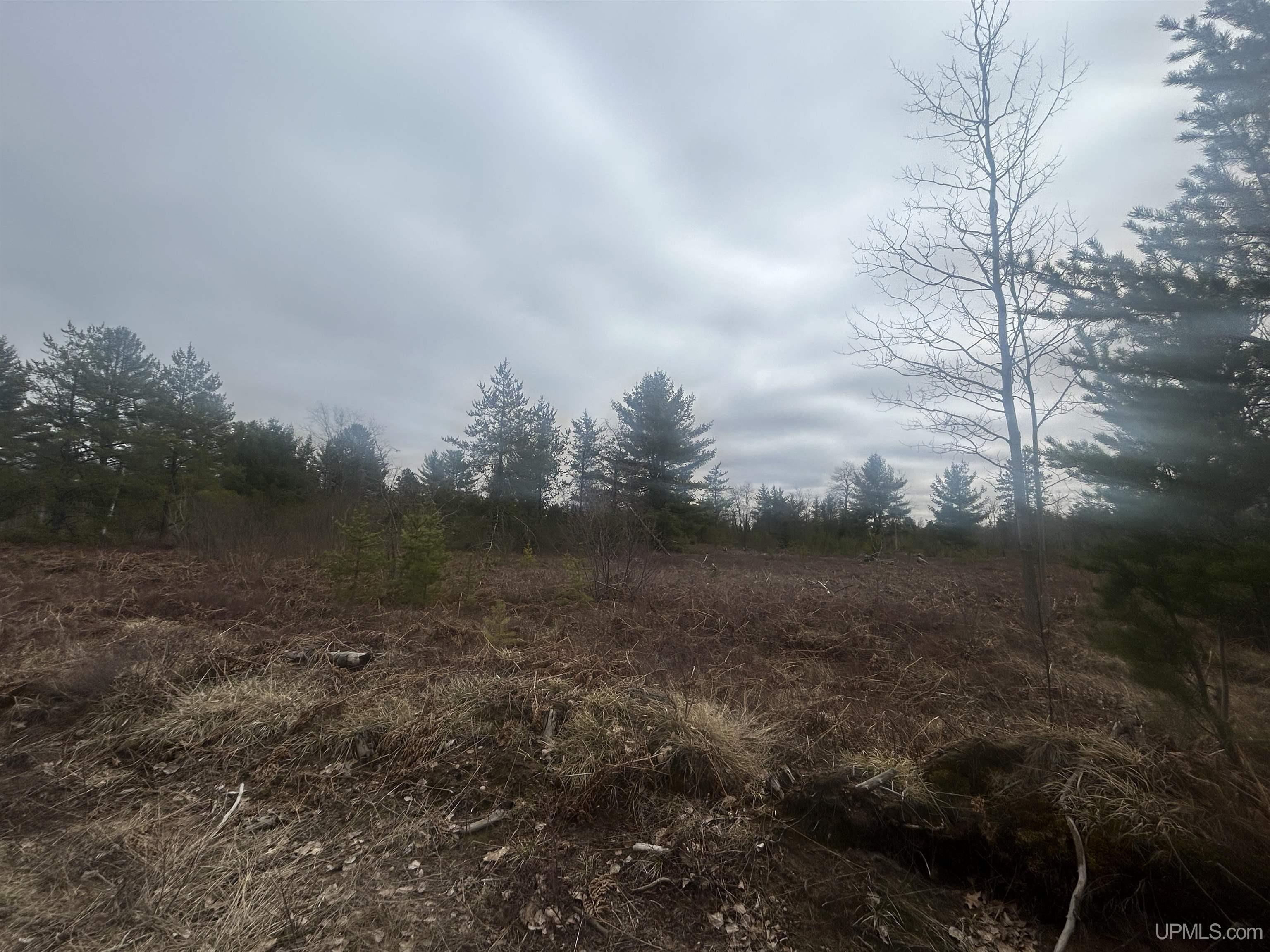 Parcel 2-off Parcel 2-off Johnson Lake Road Gwinn, MI 49841 - Photo 6 of 7