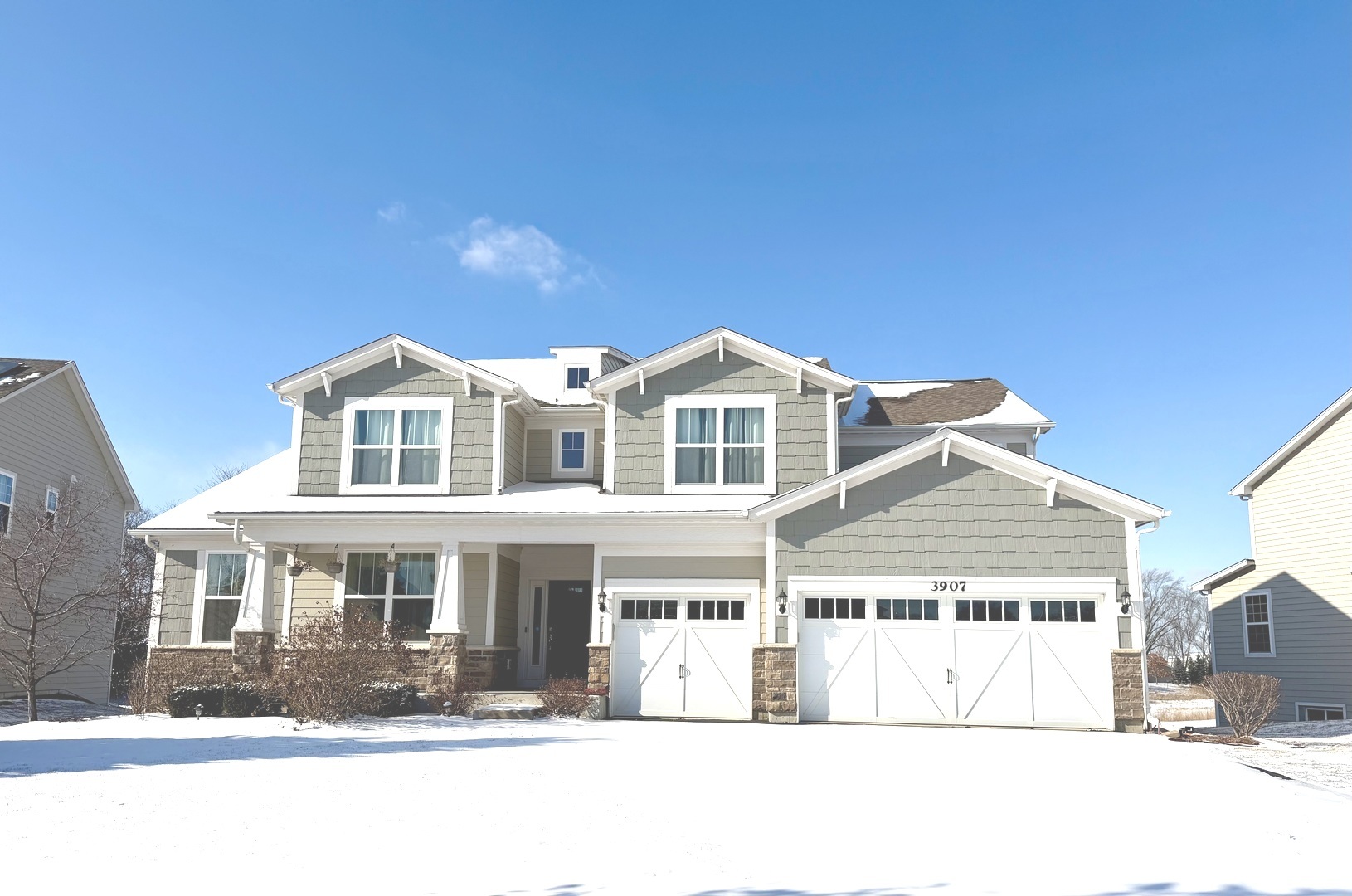 3907 Nannyberry Street Naperville, IL 60564 - Photo 1 of 38