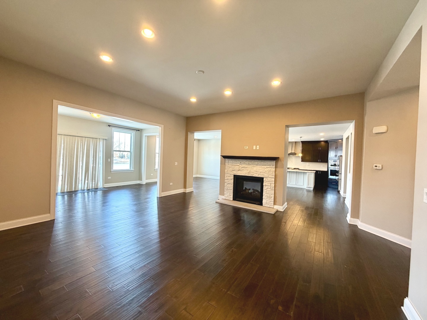 3907 Nannyberry Street Naperville, IL 60564 - Photo 13 of 38