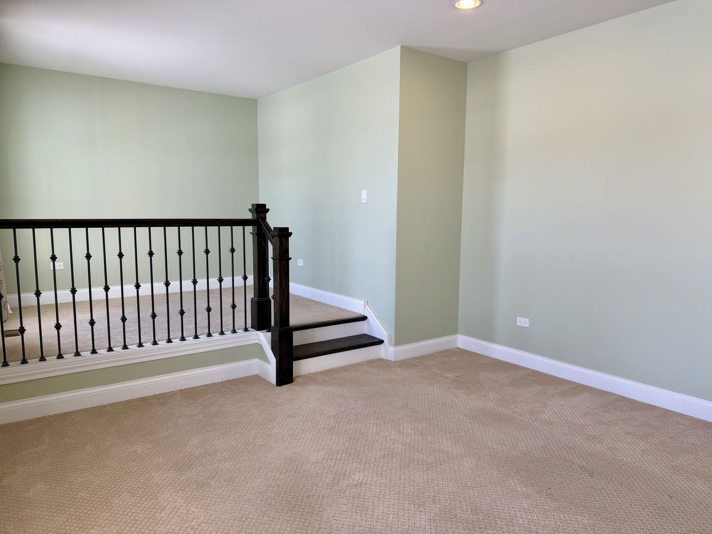 3907 Nannyberry Street Naperville, IL 60564 - Photo 20 of 38