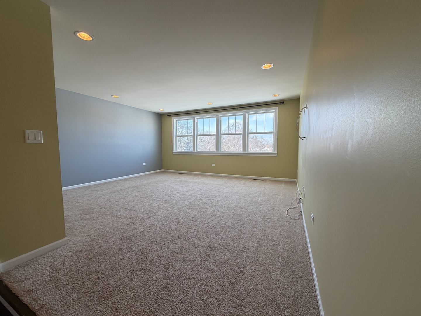 3907 Nannyberry Street Naperville, IL 60564 - Photo 25 of 38