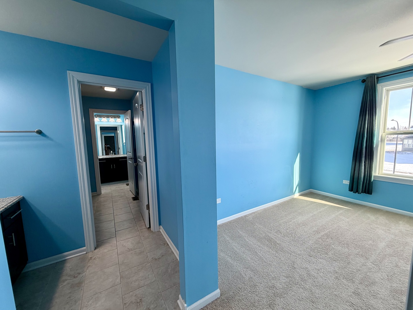 3907 Nannyberry Street Naperville, IL 60564 - Photo 30 of 38