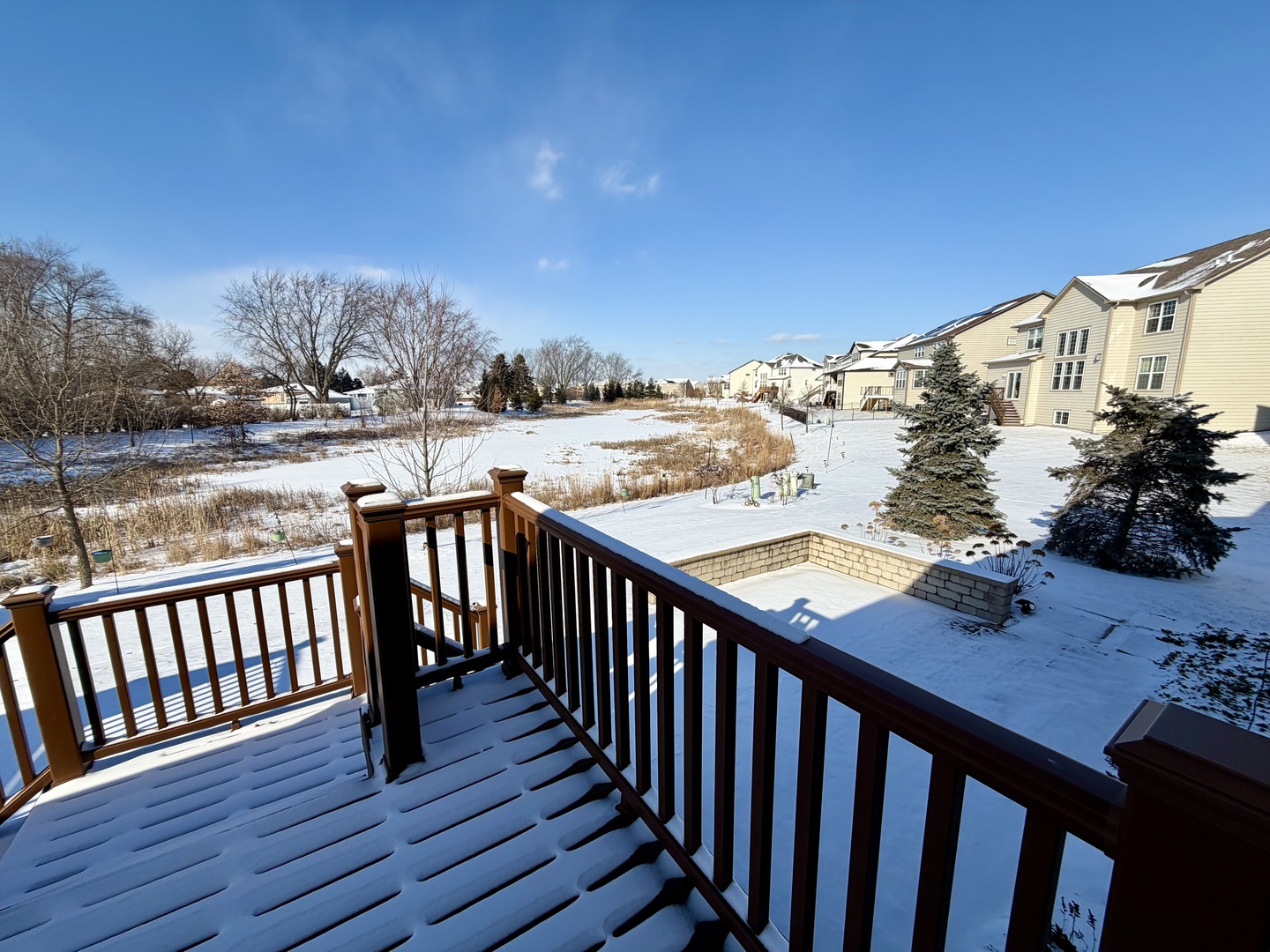 3907 Nannyberry Street Naperville, IL 60564 - Photo 38 of 38