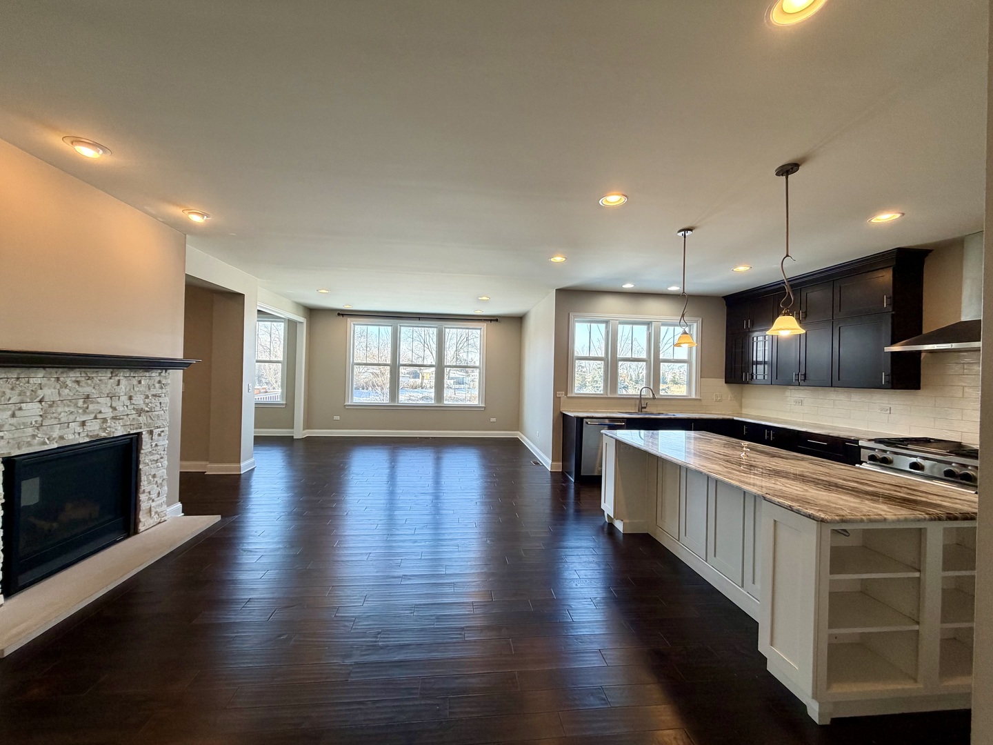 3907 Nannyberry Street Naperville, IL 60564 - Photo 6 of 38