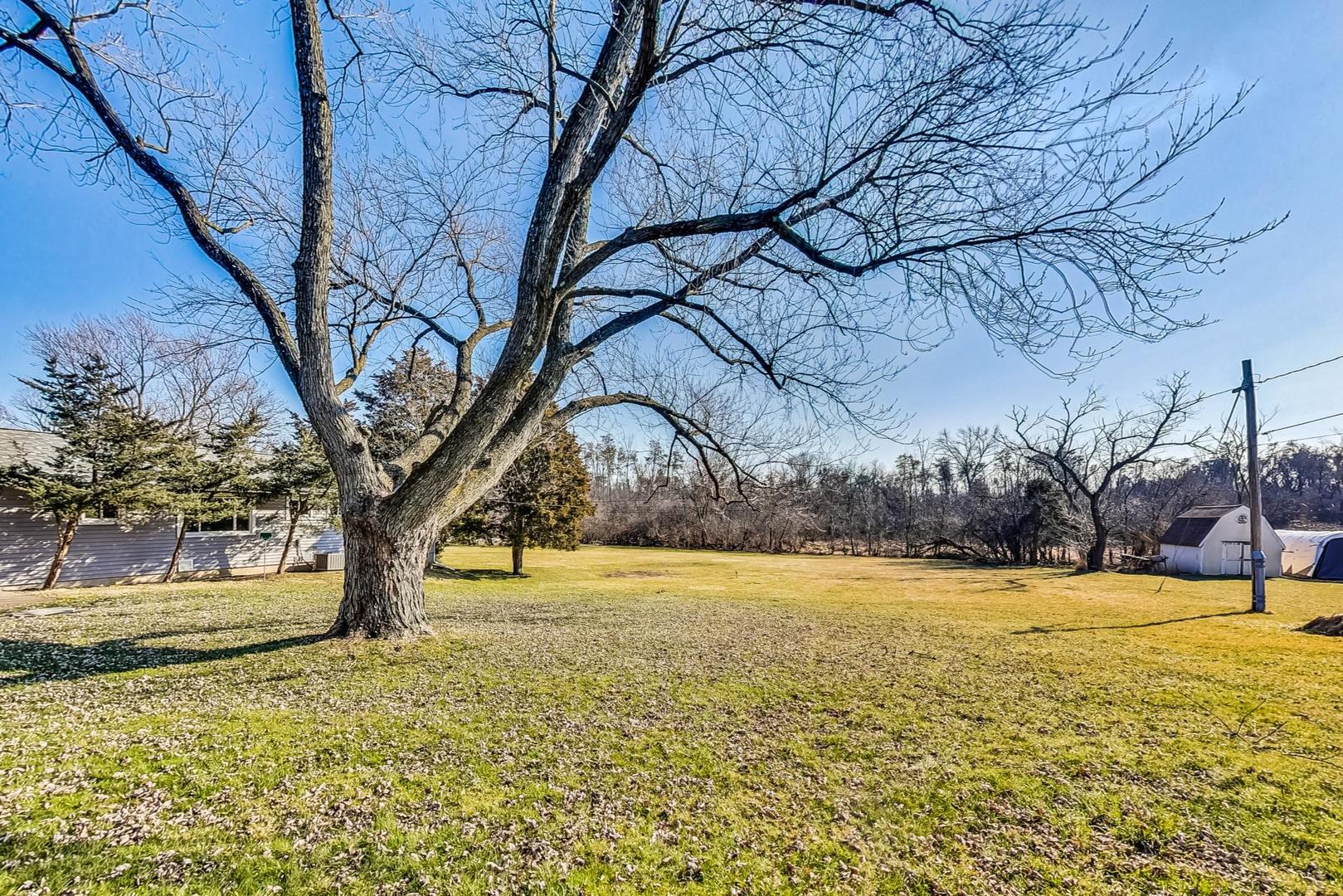 10S462 Ruth Drive Lemont, IL 60439 - Photo 23 of 24 a view of a yard with a tree