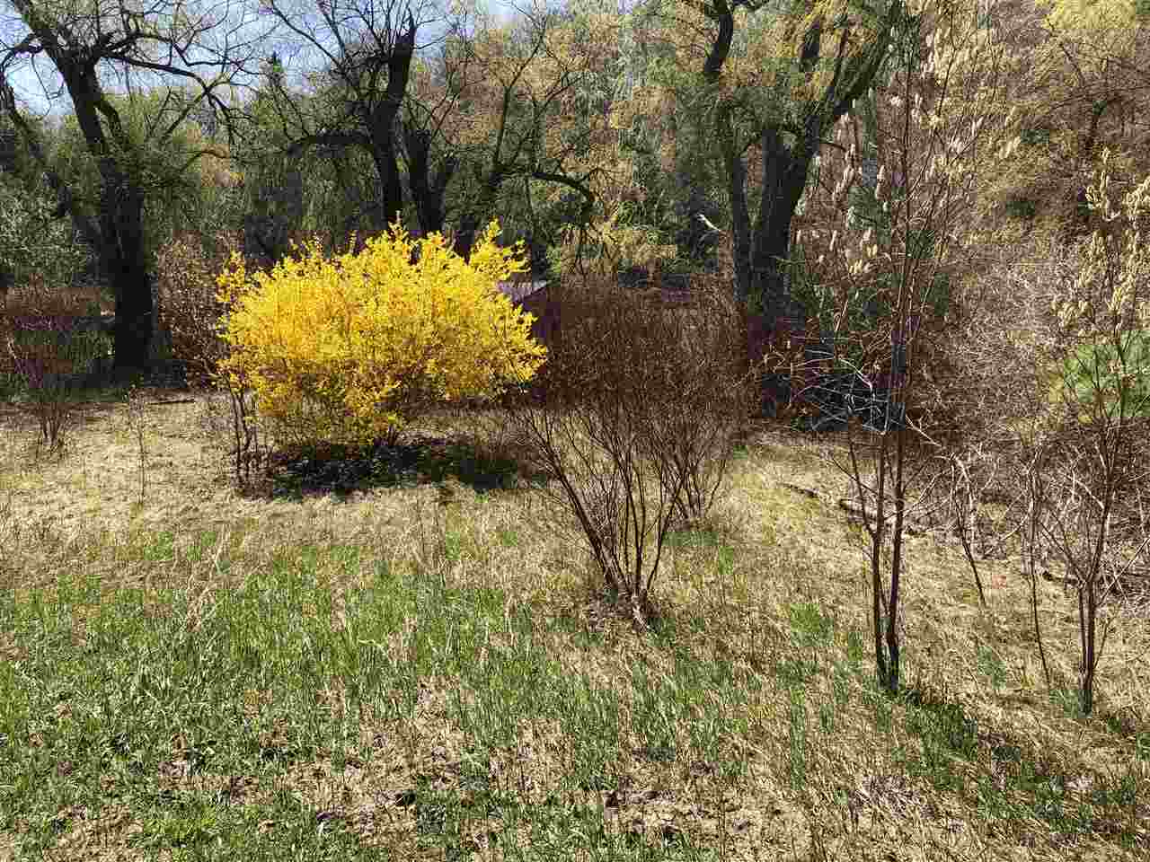 10779 Riverside Drive Honor, MI 49640 - Photo 5 of 9 1886264-4.JPG