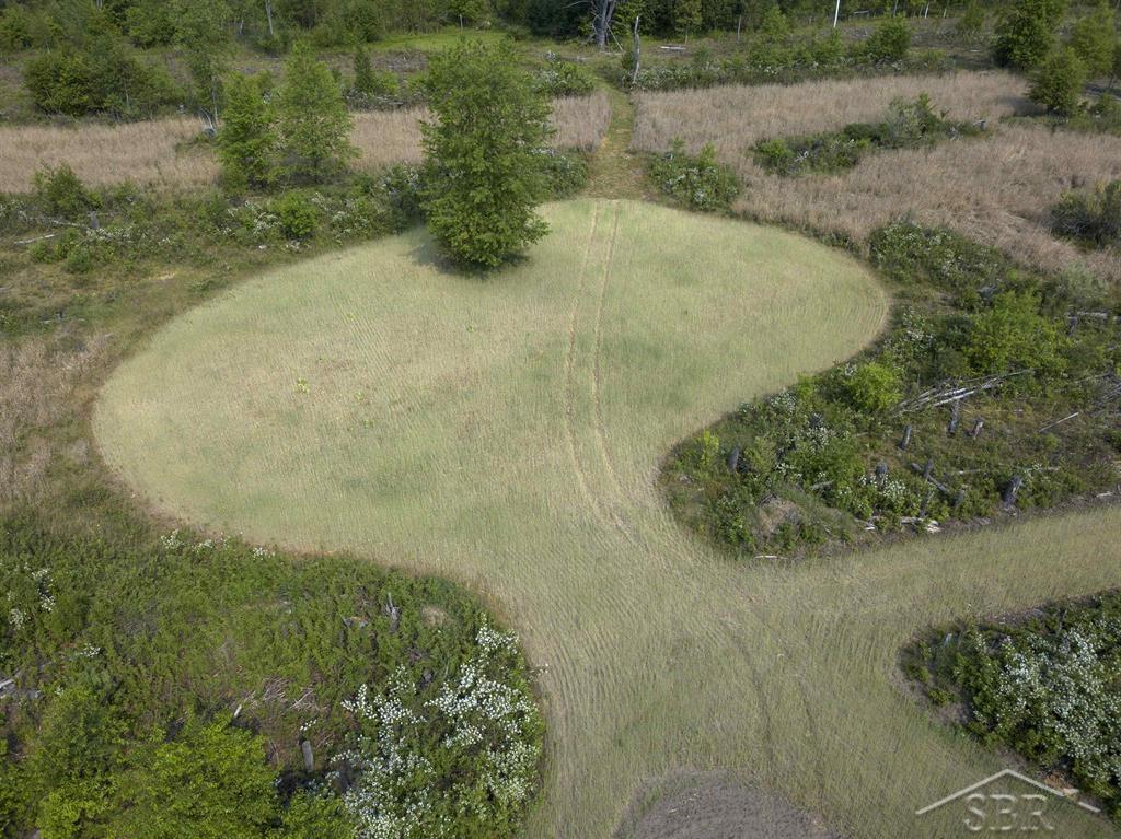 66-acres North Geneva Road Coleman, MI 48618 - Photo 11 of 44 Gallery Image 11