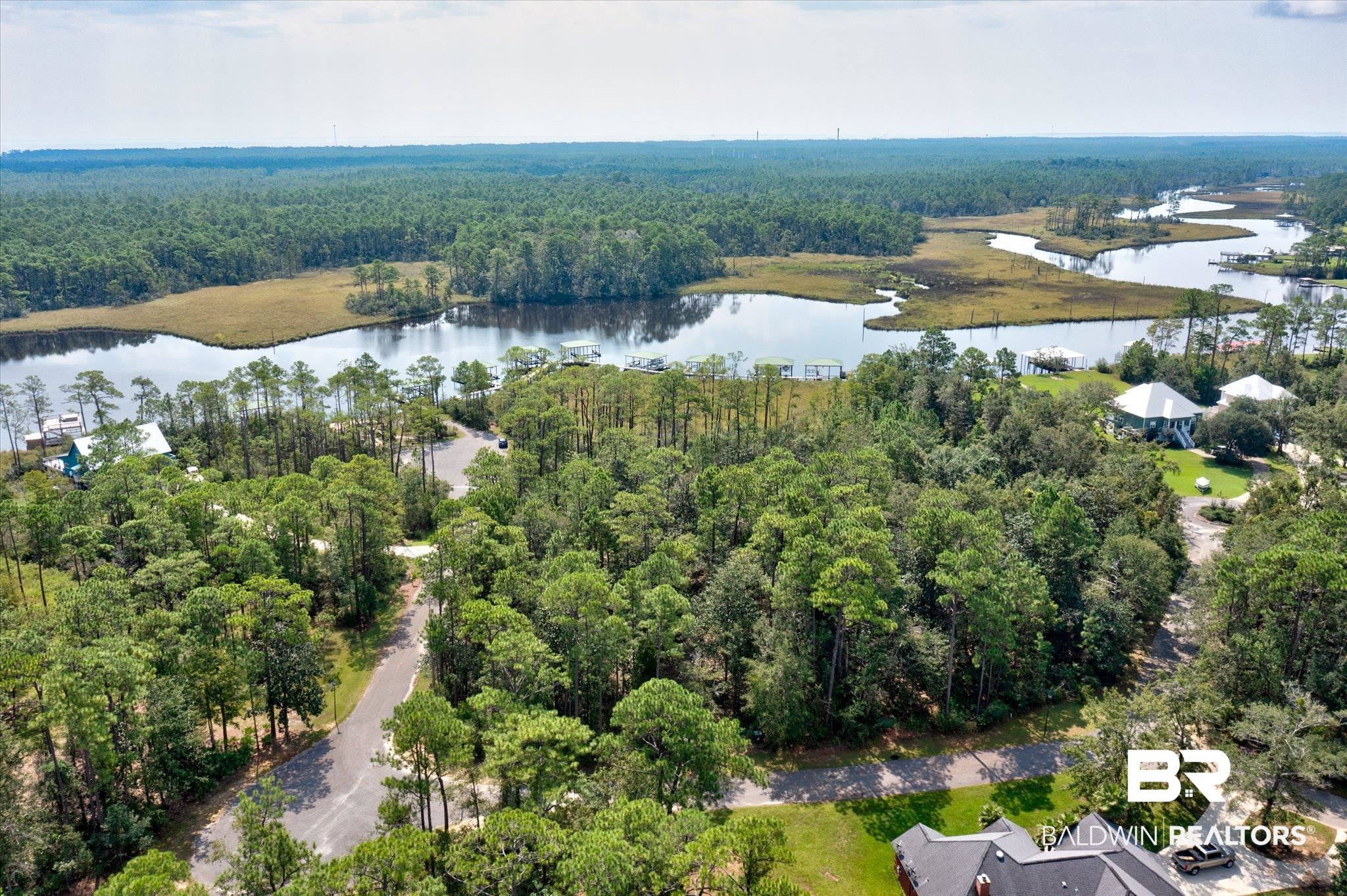 Palmetto Point Theodore, AL 36582 - Photo 4 of 16