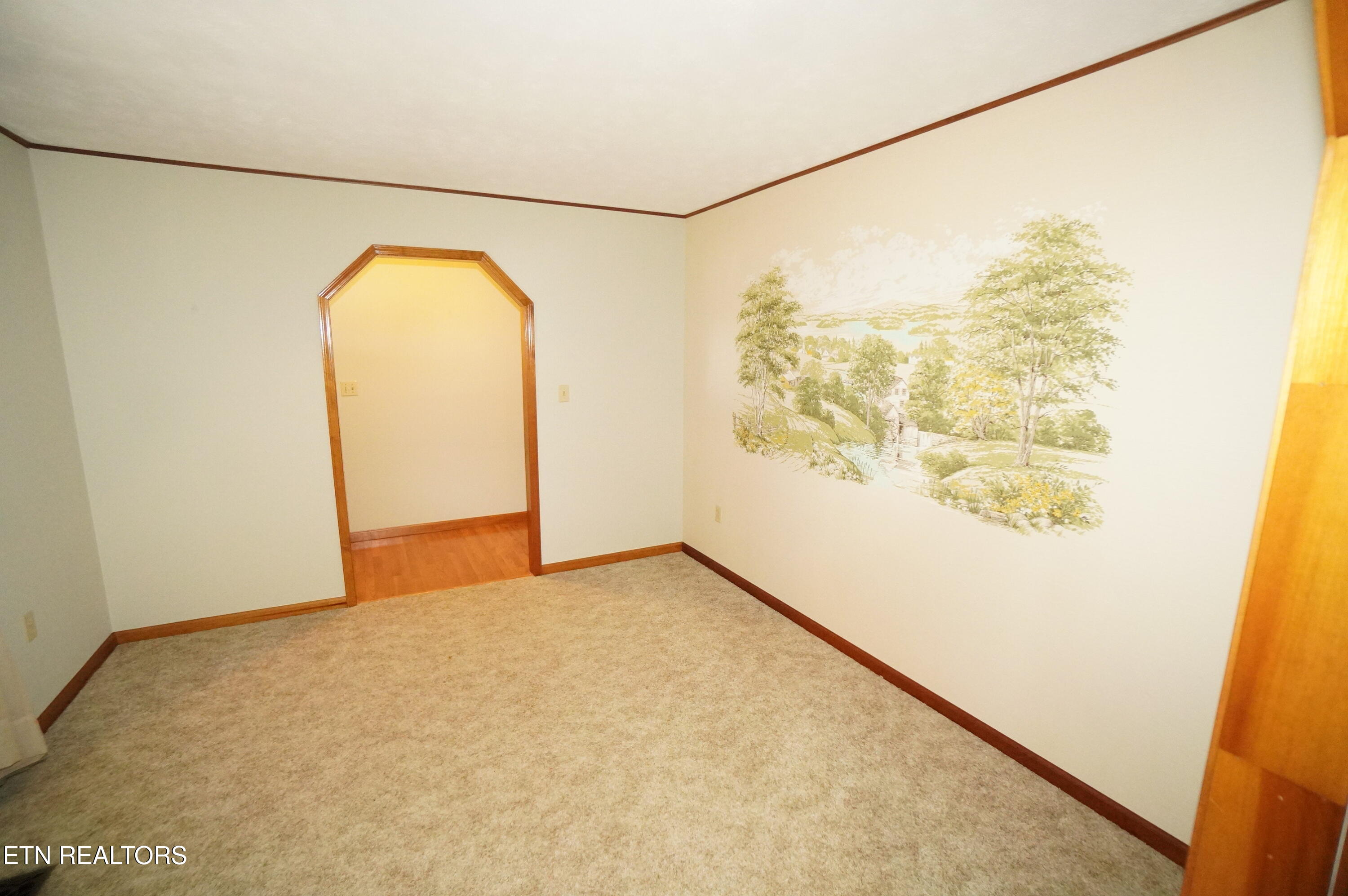 483 Shaver Drive Talbott, TN 37877 - Photo 13 of 35 483 shaver - bates (11)