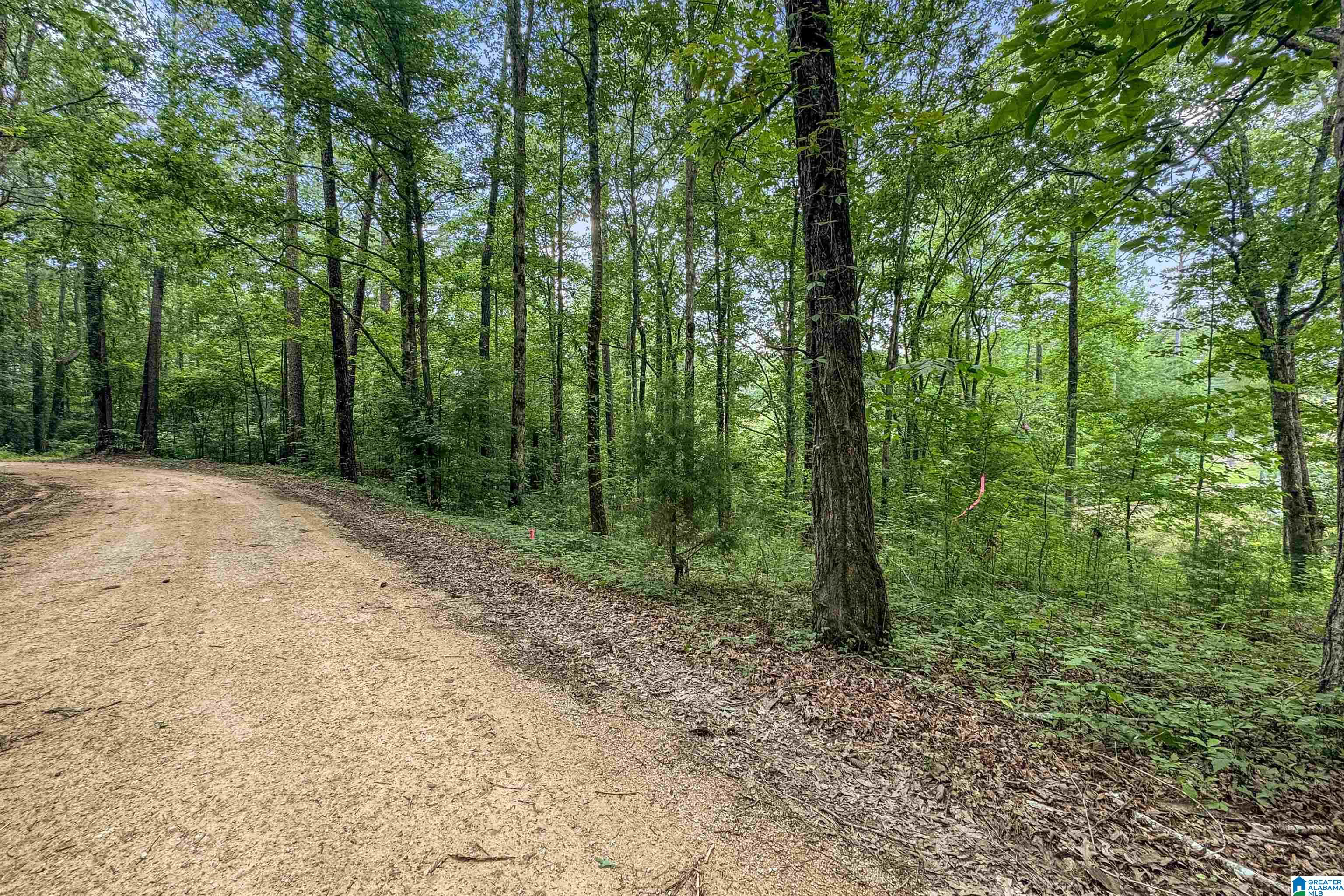 0 Red Oak Circle Helena, AL 35080 - Photo 11 of 21