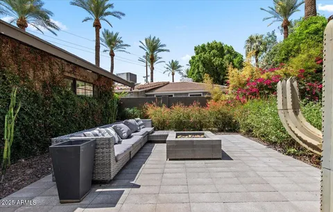 a view of a patio with couches and a potted plant on a patio