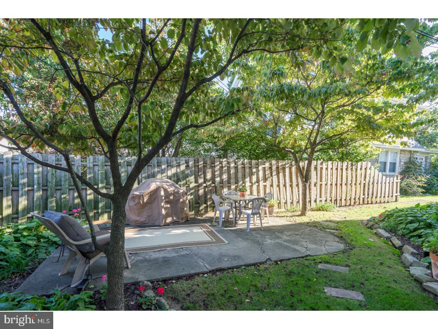 417 Netherwood Road Upper Darby, PA 19082 - Photo 14 of 24 a view of a yard with a tree