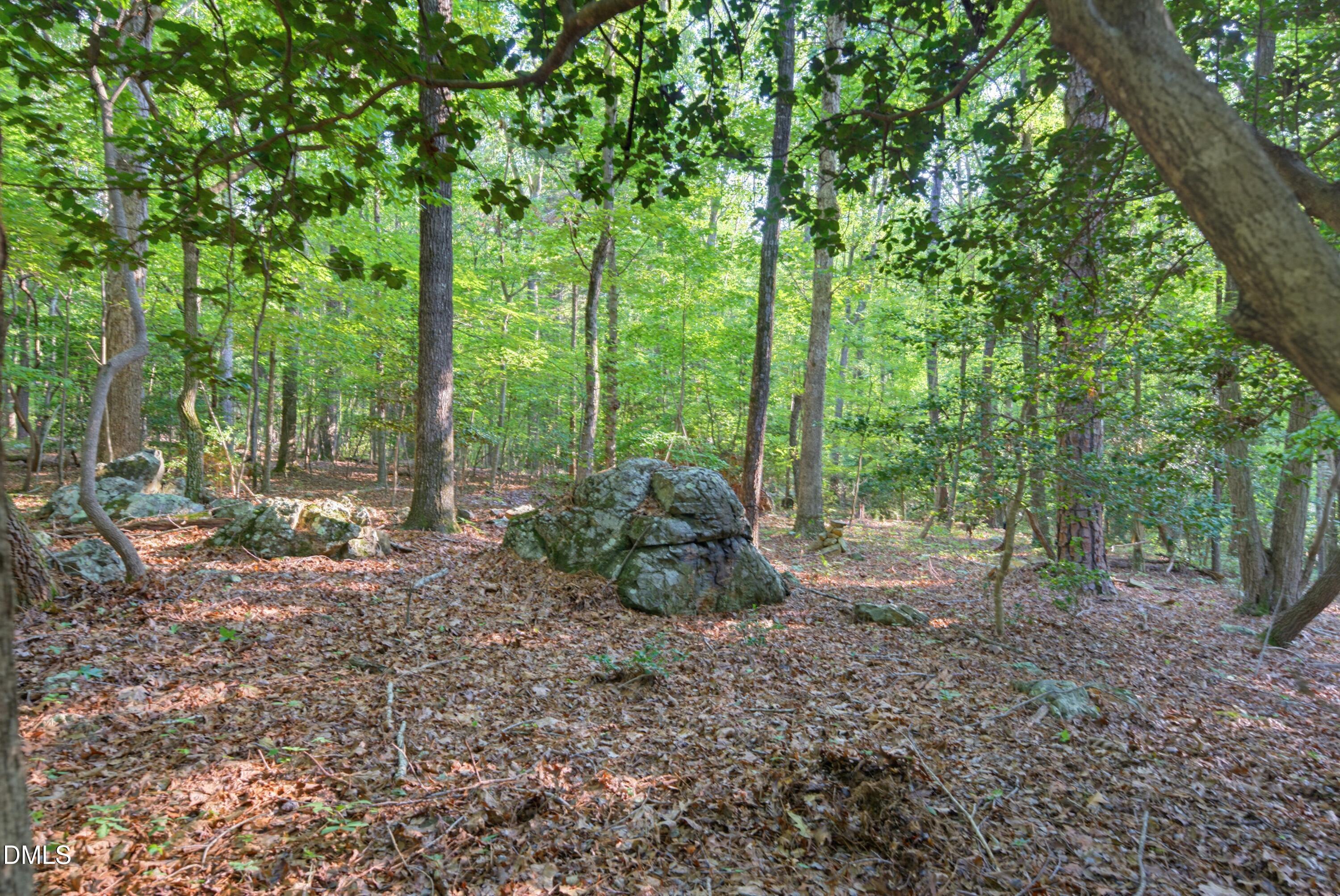 100 Sloping Pond Road Pittsboro, NC 27312 - Photo 21 of 24 DSC04628