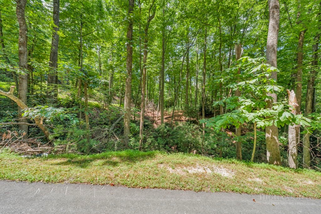 11-14 Powder Horn Mountain Road Deep Gap, NC 28618 - Photo 5 of 38