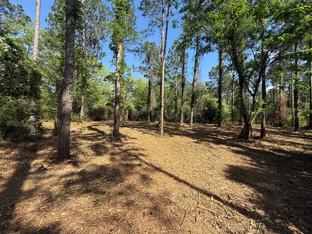 Lot 3 County Road Slocomb, AL 36375 - Photo 11 of 18