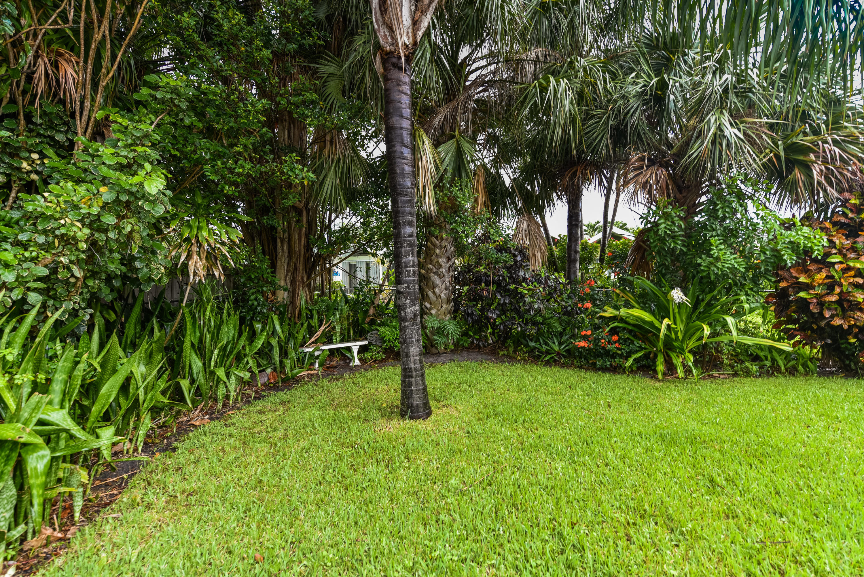 425 Marlin Road North Palm Beach, FL 33408 - Photo 27 of 27 Rear Yard
