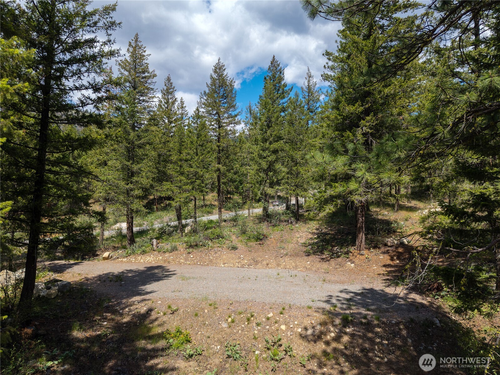 6 Homestead Road Winthrop, WA 98862 - Photo 3 of 40 a view of a forest with trees