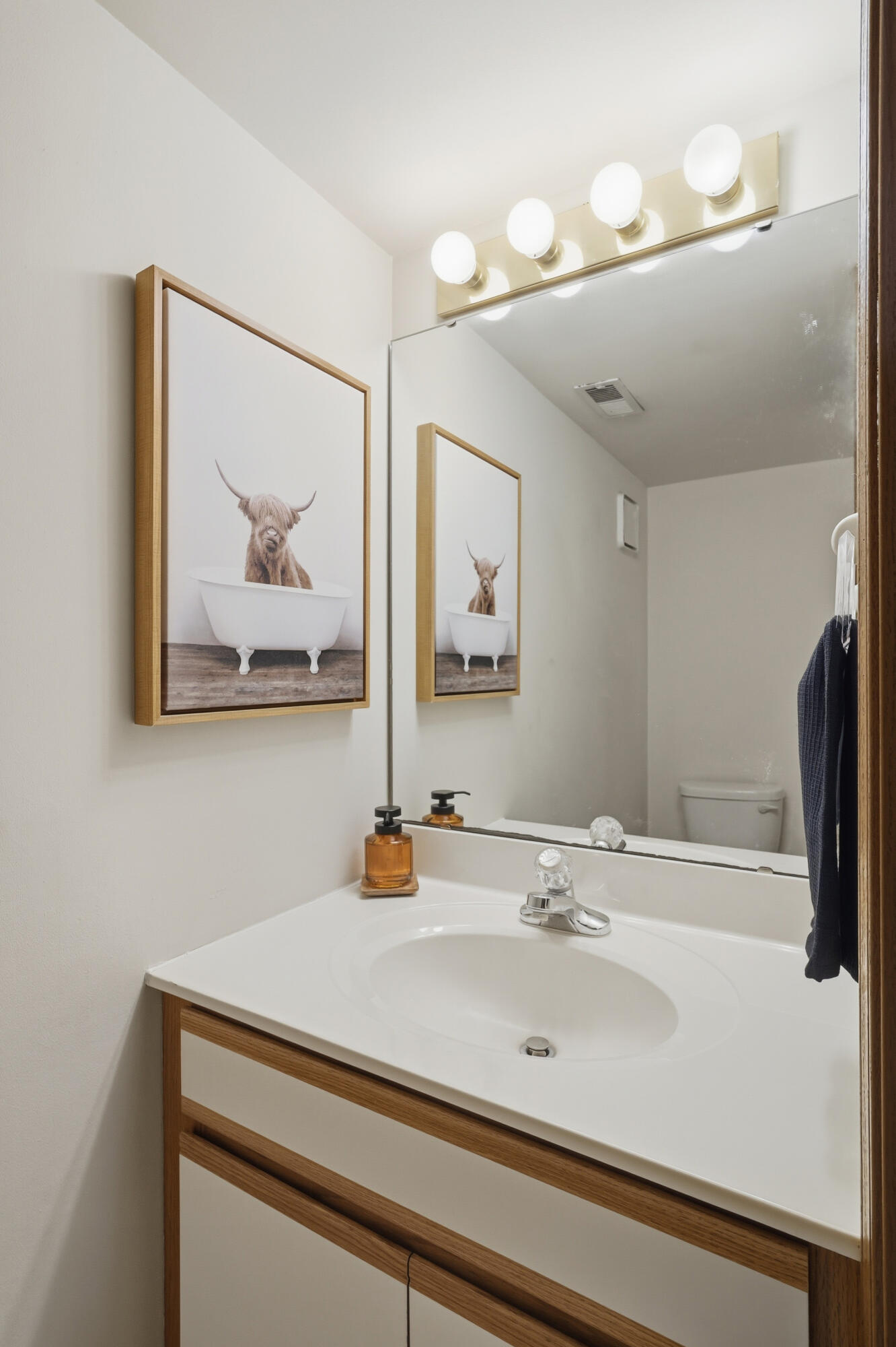 9465 Van Buren Court Crown Point, IN 46307 - Photo 12 of 16 a bathroom with a sink and a mirror