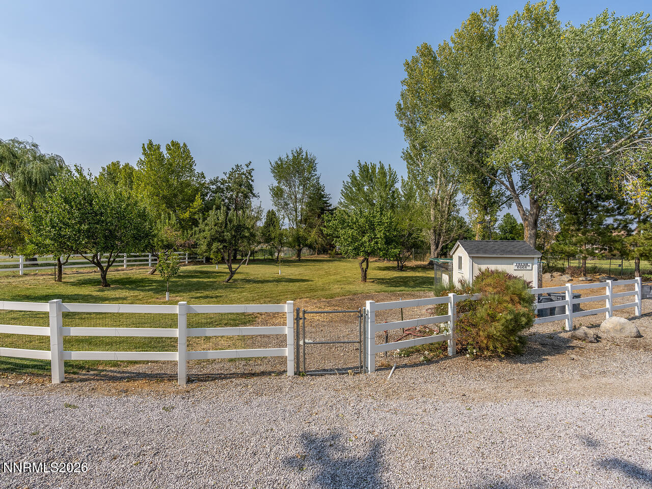 1965 Palmira Drive Reno, NV 89511 - Photo 50 of 63 a view of backyard with large trees