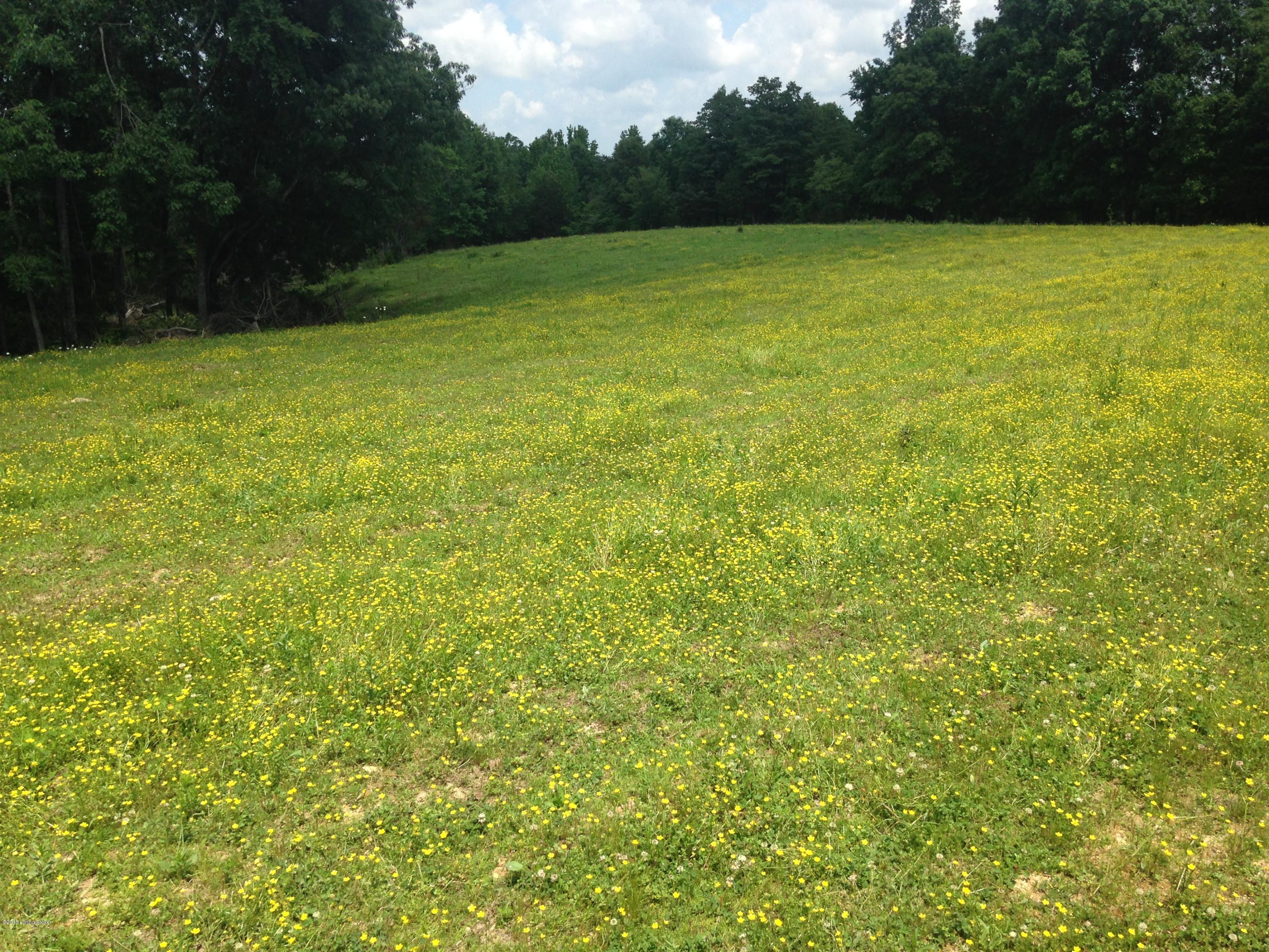 1050 Cedar Flat Curtis Road Edmonton, KY 42129 - Photo 5 of 28 4