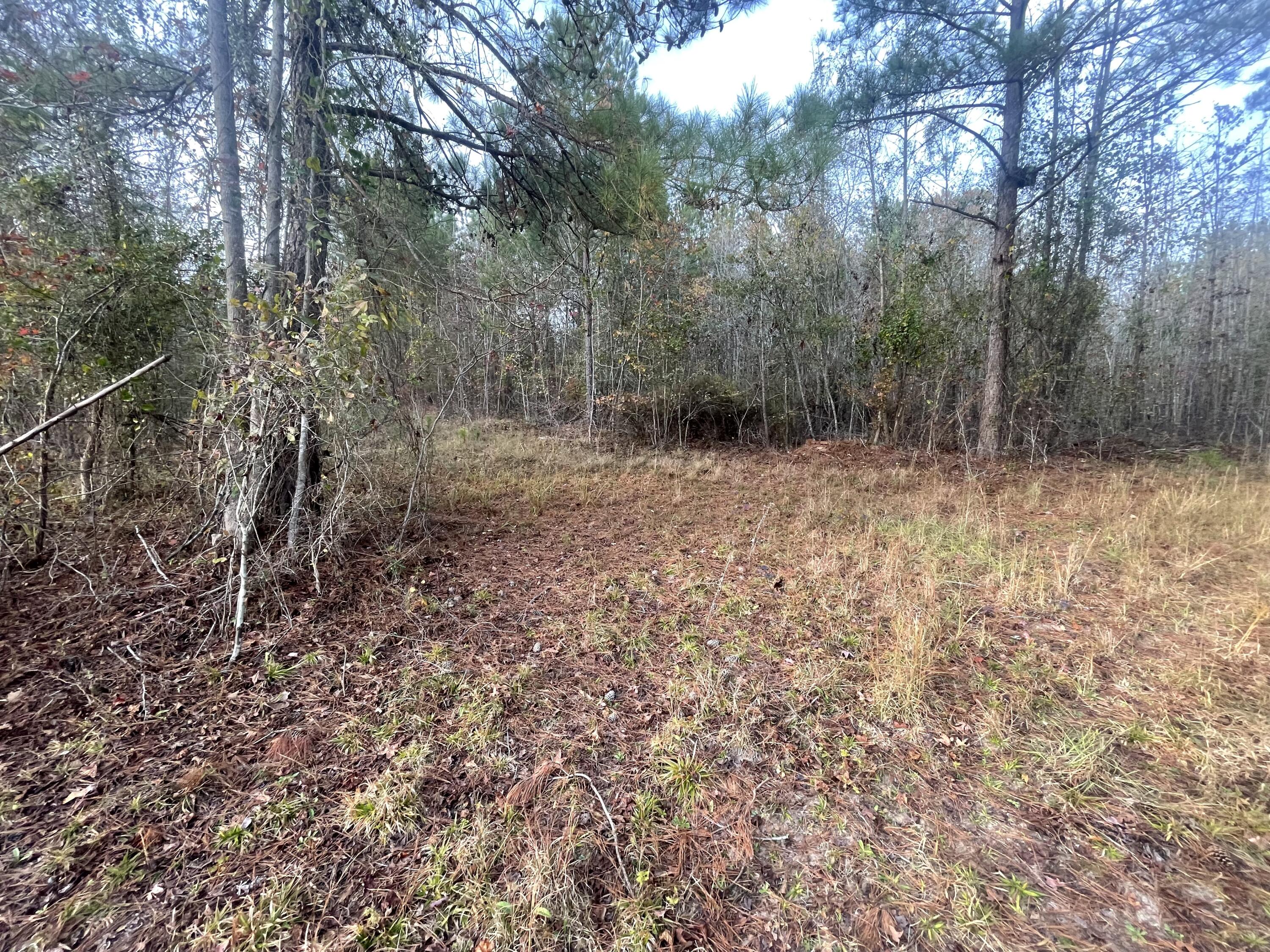 1218 Pylant Crossing Road Thomson, GA 30824 - Photo 40 of 41 Land view