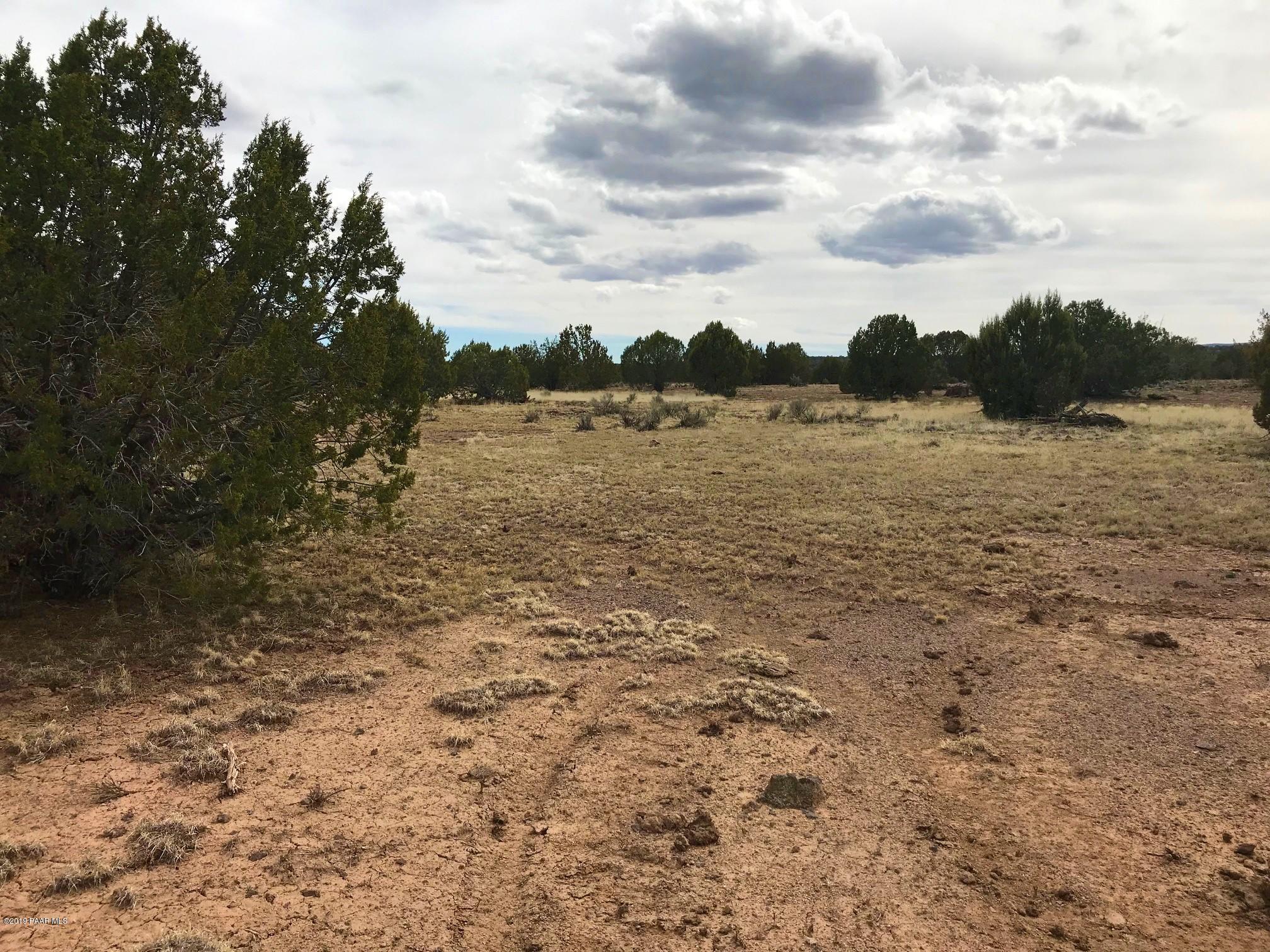 45 Deer End Road Ash Fork, AZ 86320 - Photo 1 of 15 IMG_6678