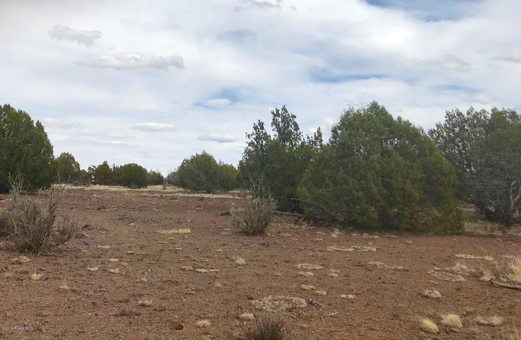 45 Deer End Road Ash Fork, AZ 86320 - Photo 3 of 15 IMG_6680