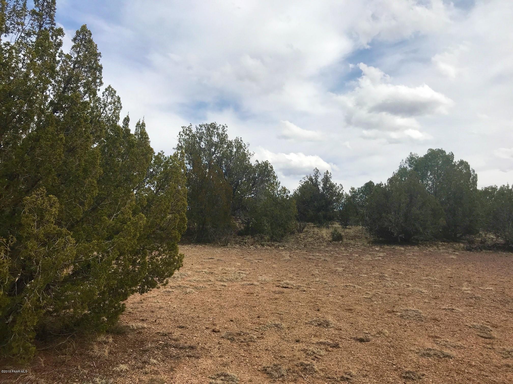 45 Deer End Road Ash Fork, AZ 86320 - Photo 5 of 15 IMG_6683
