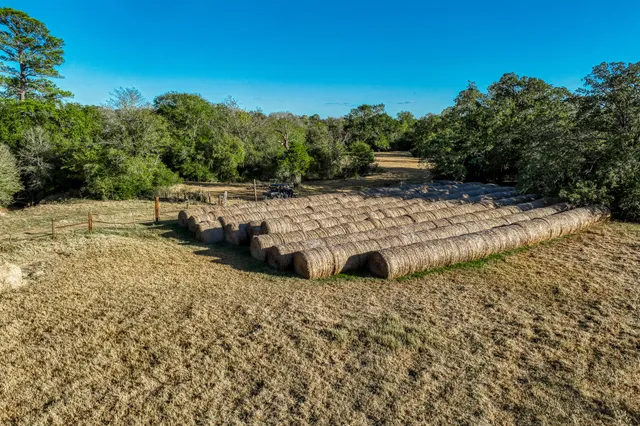 a view of a outdoor space with trees