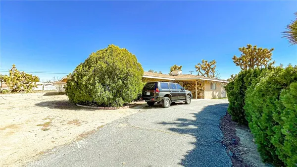 a view of a yard with a tree