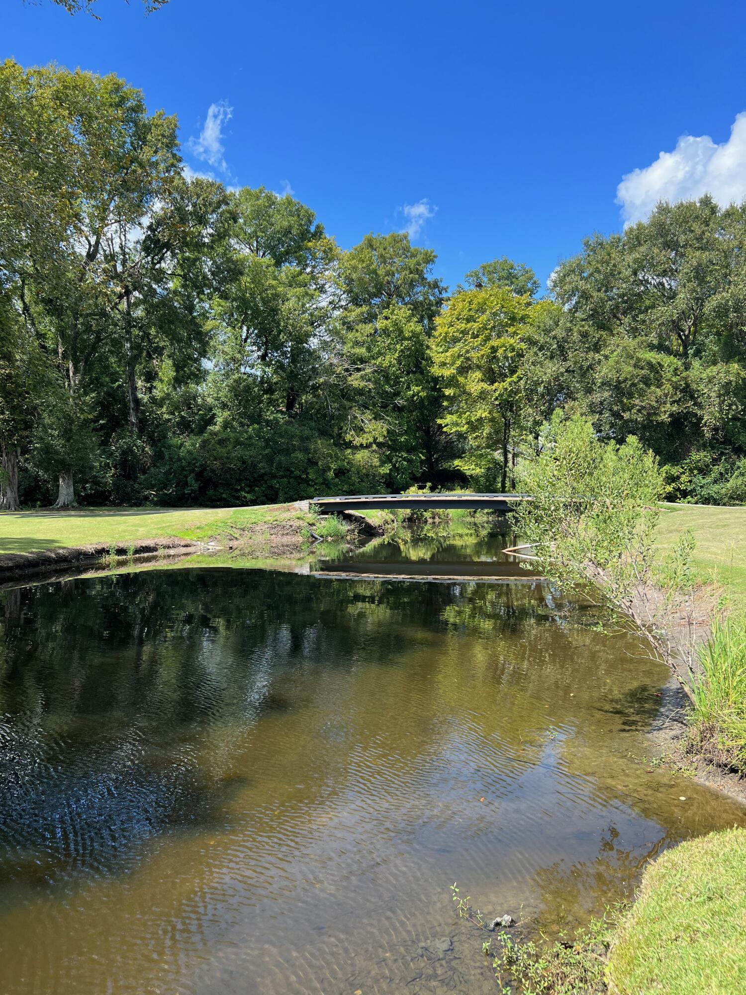 2174 Bees Ferry Road, Unit G Charleston, SC 29414 - Photo 22 of 23 IMG_2390