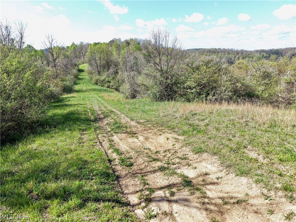 0 Harrons Ridge Road Dexter City, OH 45727 - Photo 27 of 29