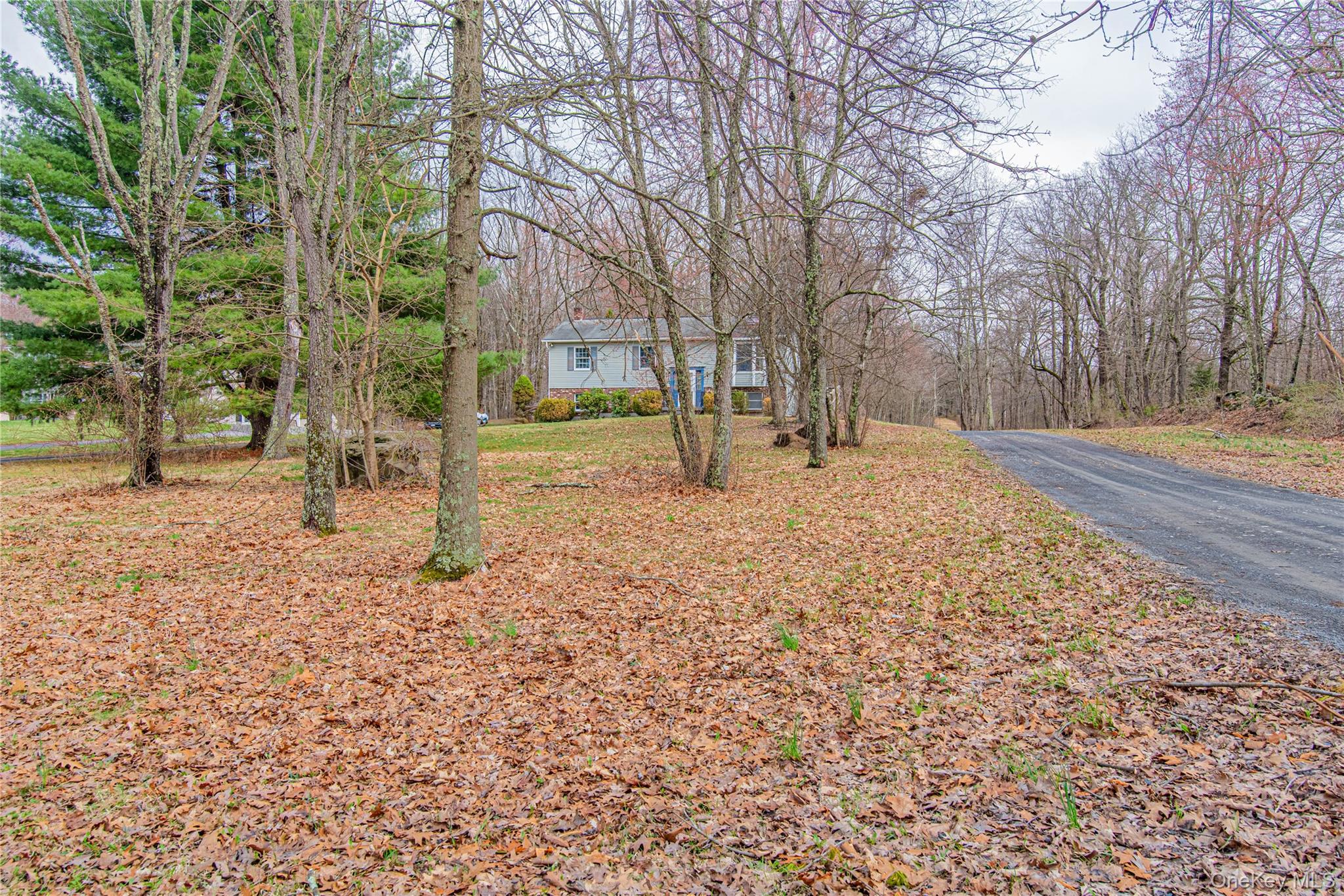 616 North Elting Corners Road Highland, NY 12528 - Photo 3 of 27 a view of a yard with a tree
