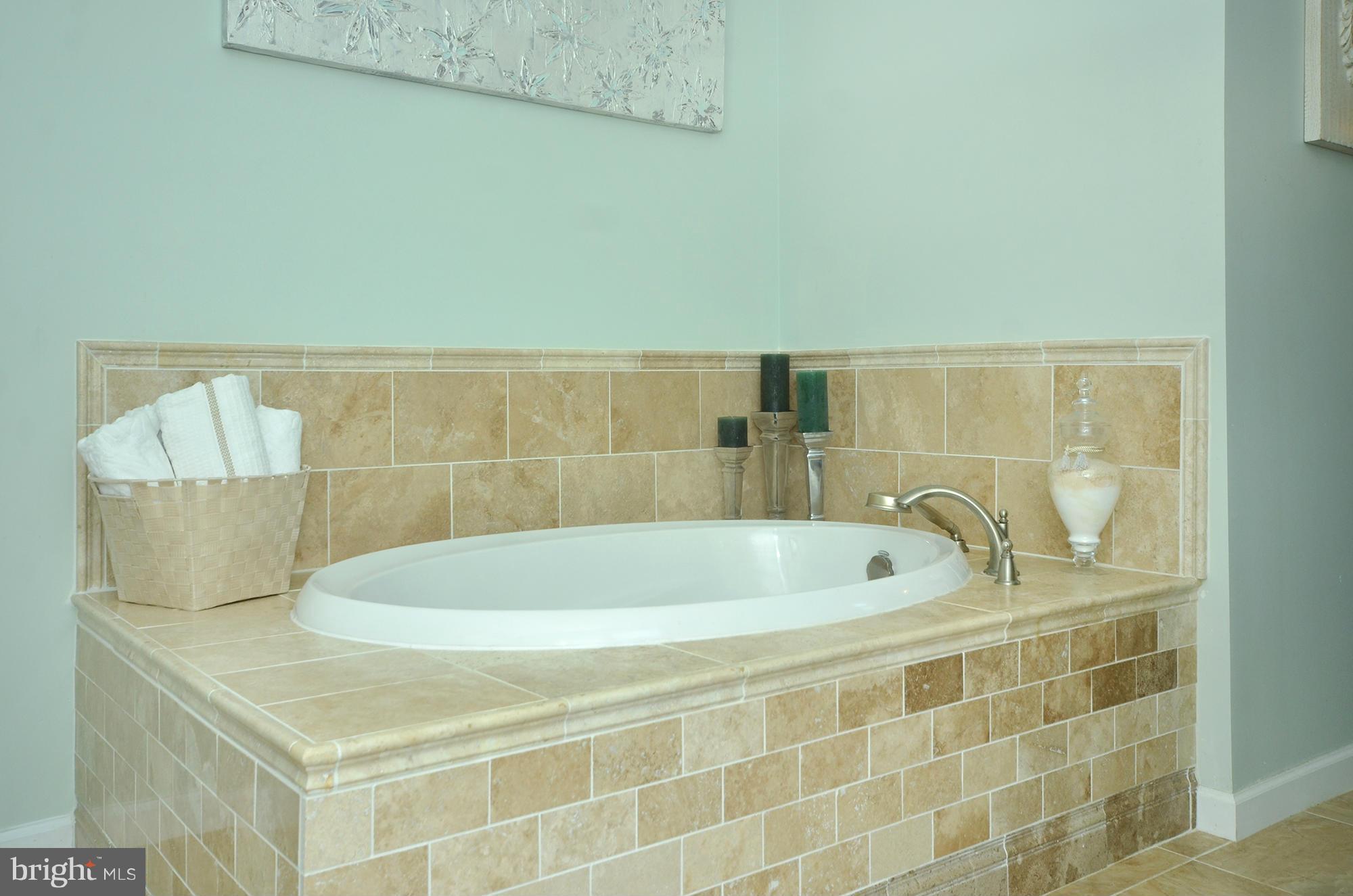14012 Foxland Road Phoenix, MD 21131 - Photo 16 of 23 Bath (Master)