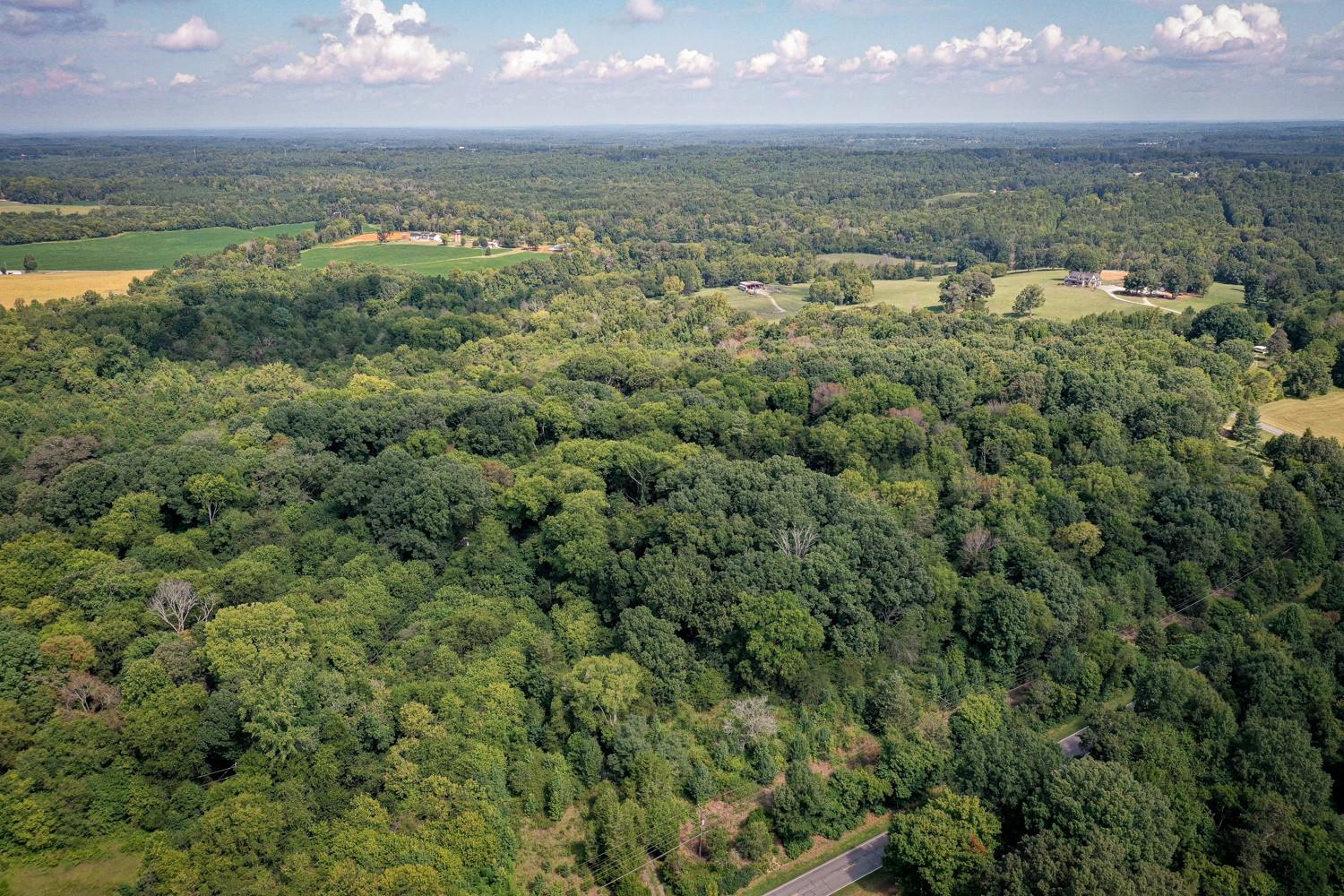 325 Mesimer Dairy Road Woodleaf, NC 27054 - Photo 1 of 16 Gallery Image 1