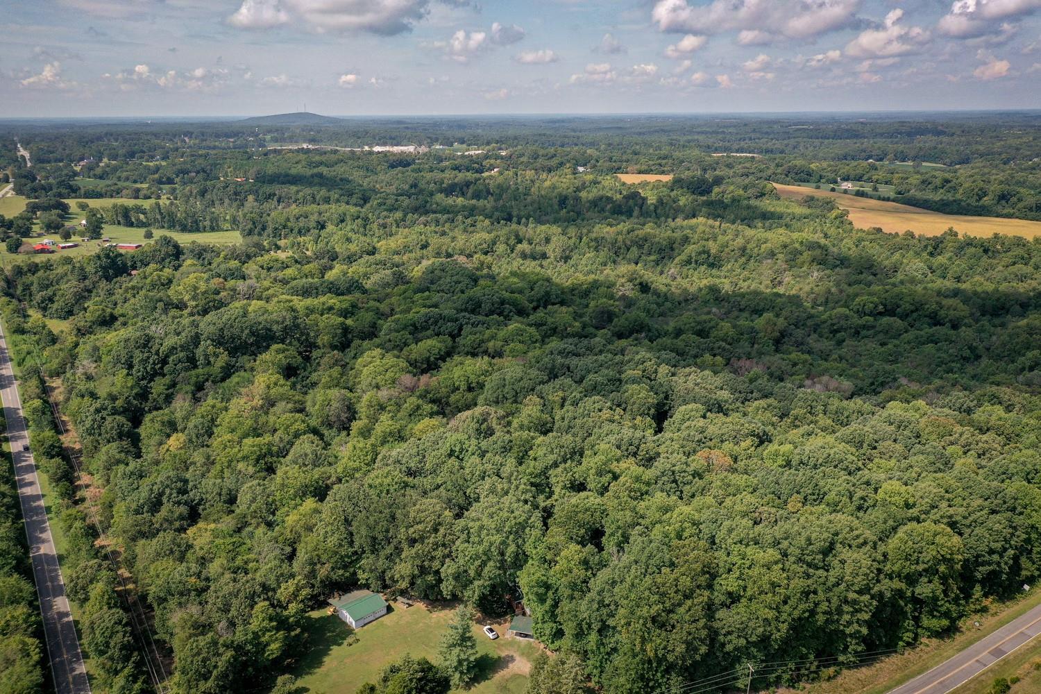 325 Mesimer Dairy Road Woodleaf, NC 27054 - Photo 3 of 16 Gallery Image 3