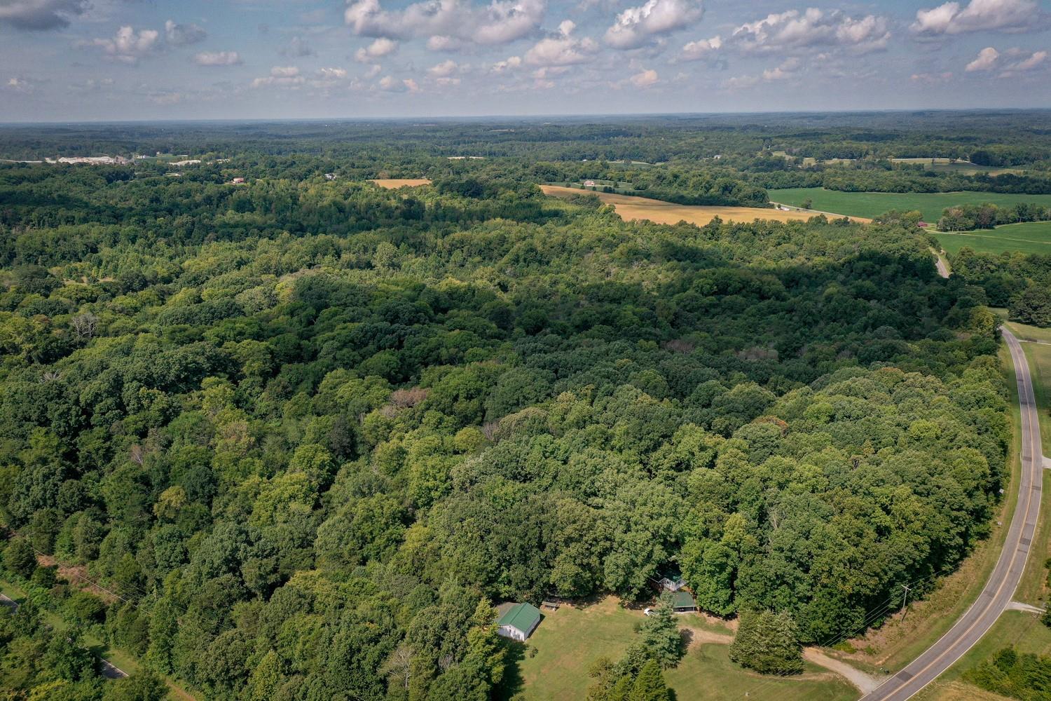 325 Mesimer Dairy Road Woodleaf, NC 27054 - Photo 4 of 16 Gallery Image 4