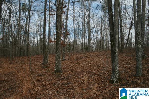 Rushing Springs Road, Unit 52± ACRES Lincoln, AL 35096 - Photo 10 of 15 Gallery Image 10
