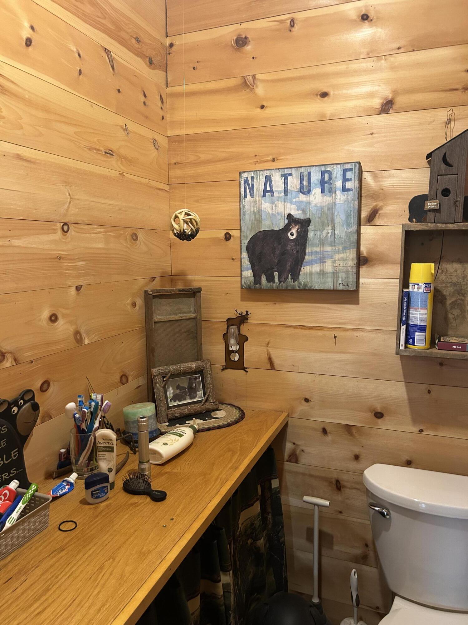 M1-l1-3 Bowerbank Road Sebec, ME 04481 - Photo 20 of 39 IMG_1282