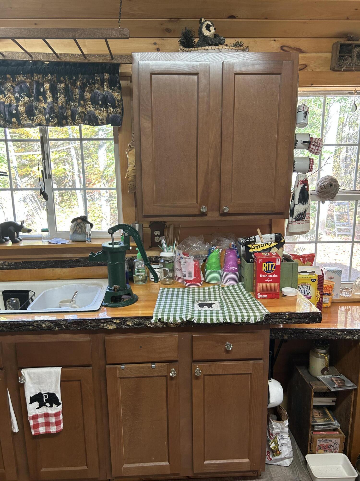 M1-l1-3 Bowerbank Road Sebec, ME 04481 - Photo 23 of 39 IMG_1287