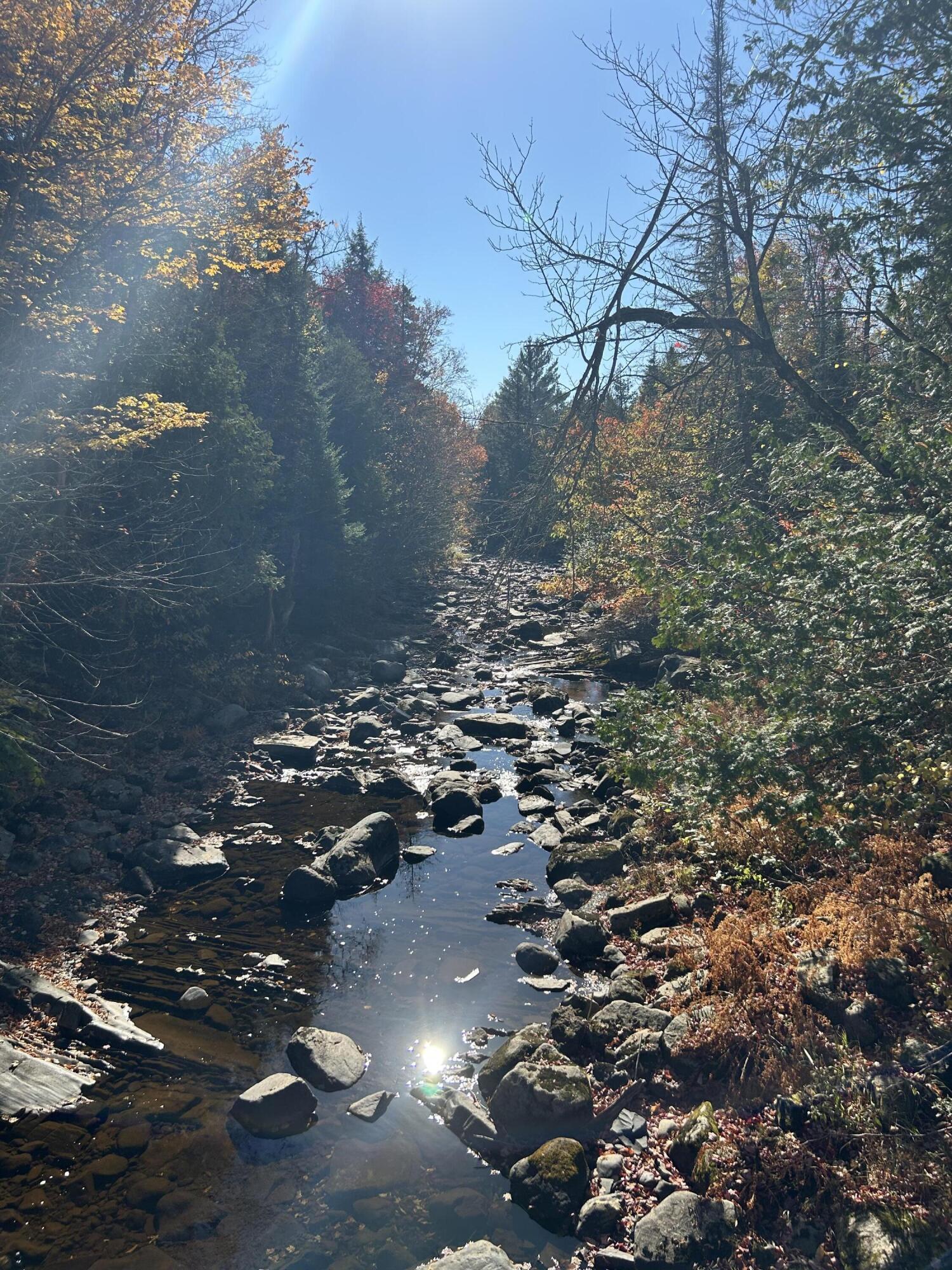M1-l1-3 Bowerbank Road Sebec, ME 04481 - Photo 34 of 39 IMG_1302