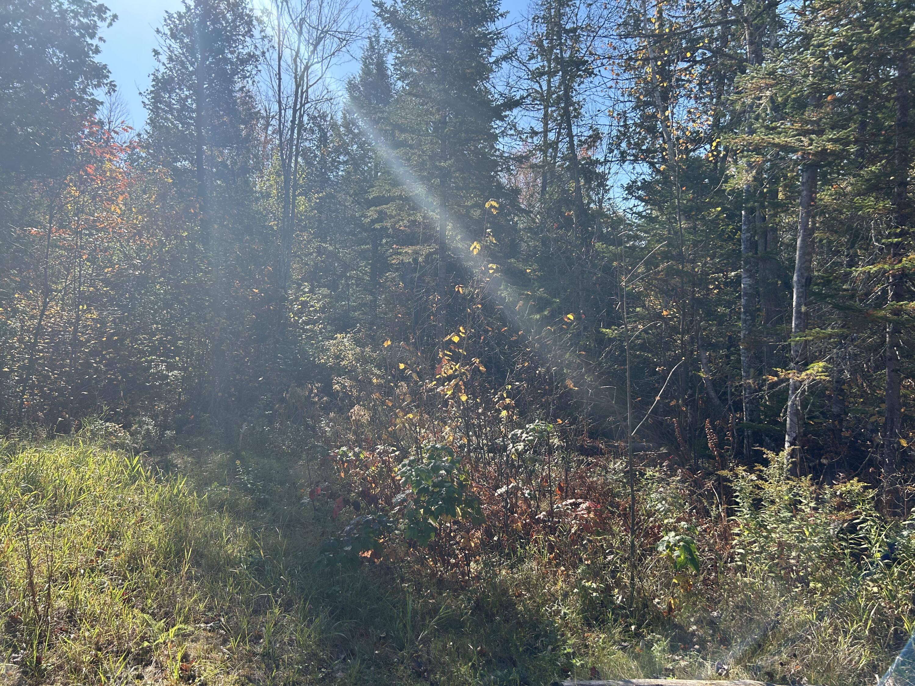 M1-l1-3 Bowerbank Road Sebec, ME 04481 - Photo 10 of 39 IMG_1270