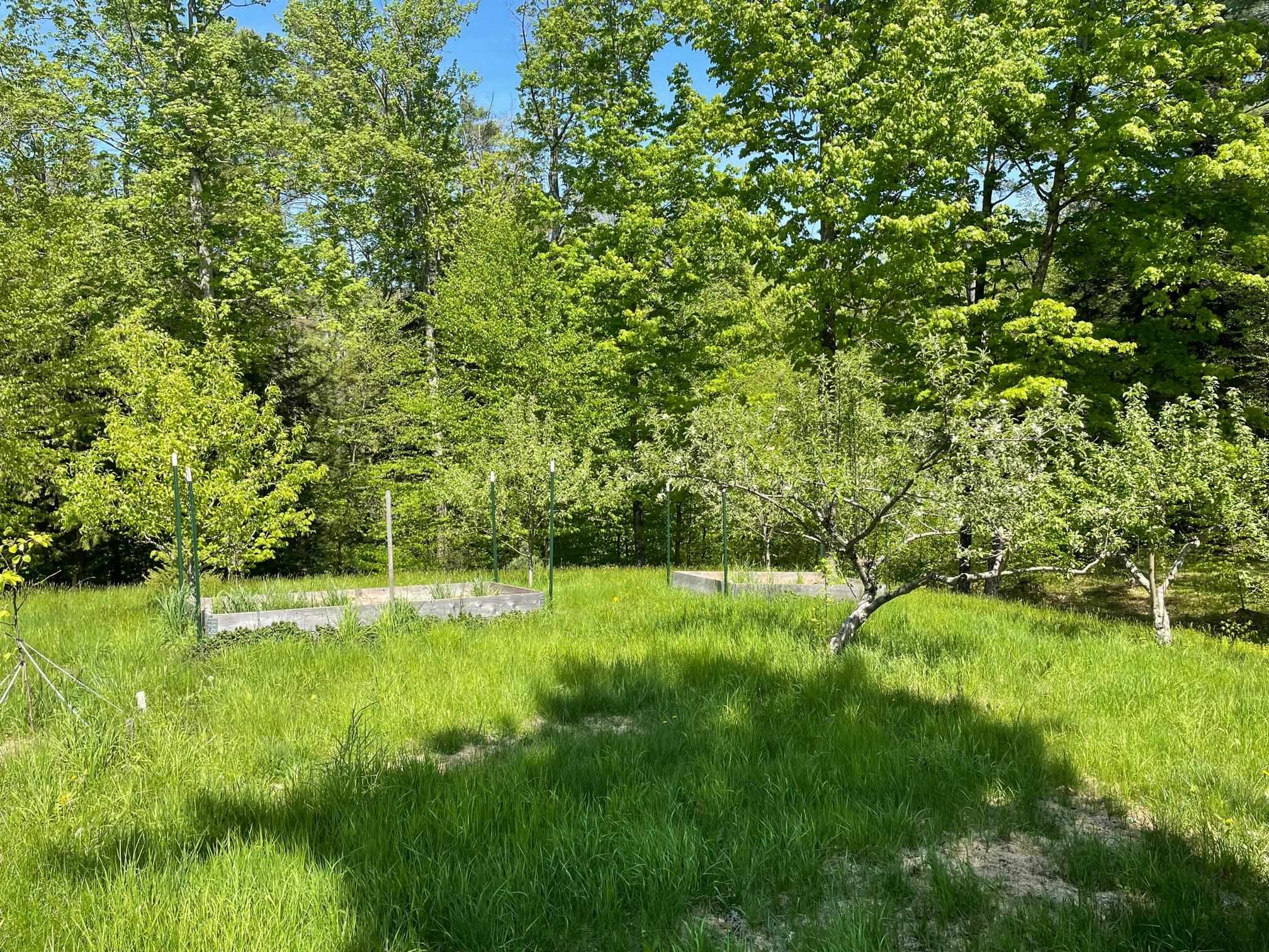 331 Old Codding Road Westminster, VT 05346 - Photo 12 of 26
