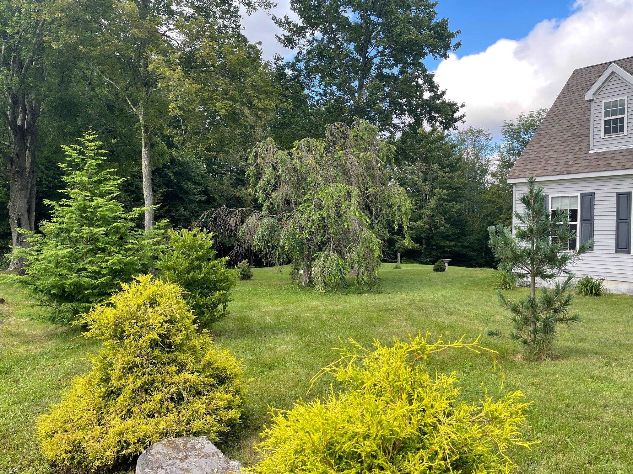 331 Old Codding Road Westminster, VT 05346 - Photo 17 of 26